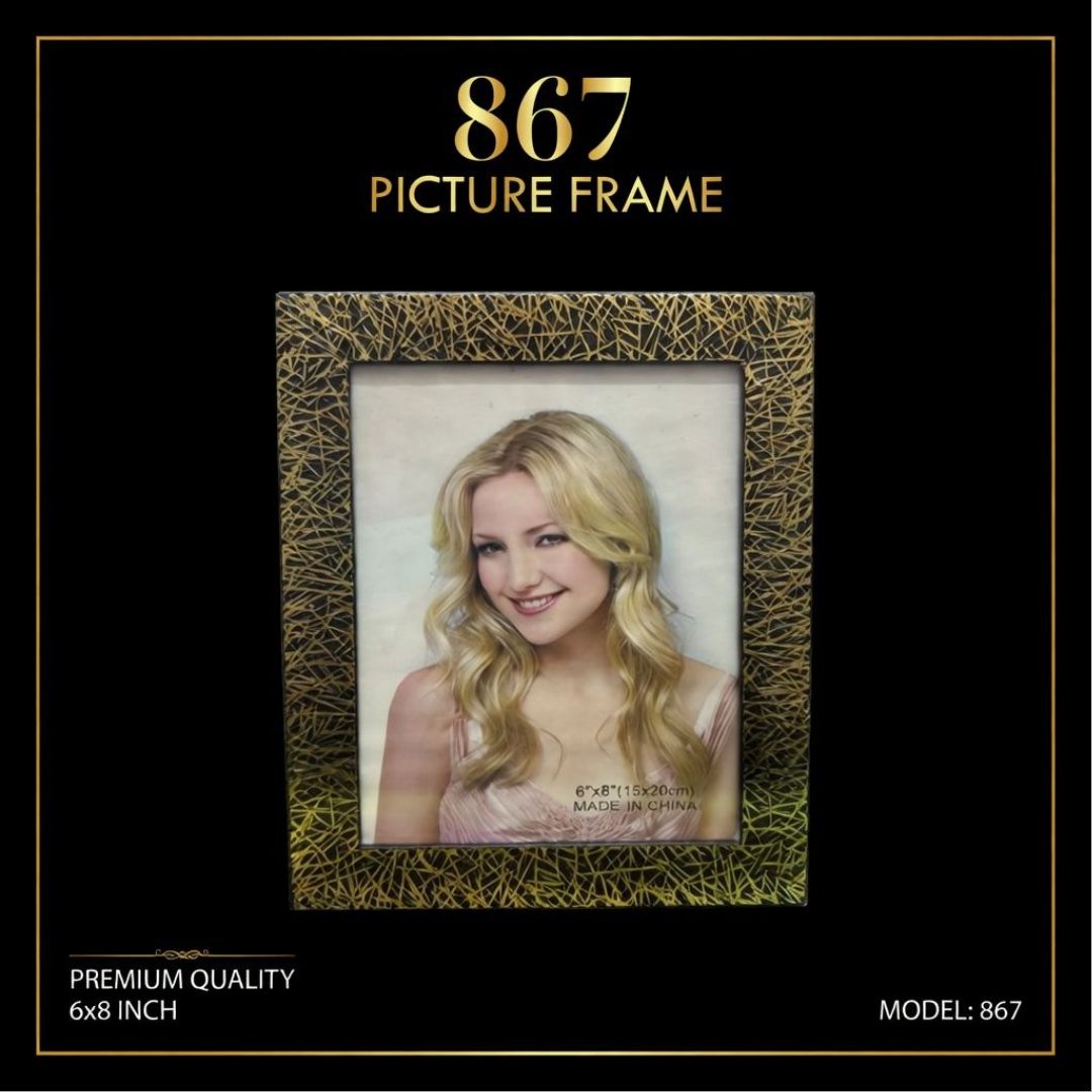 867 PICTURE FRAME