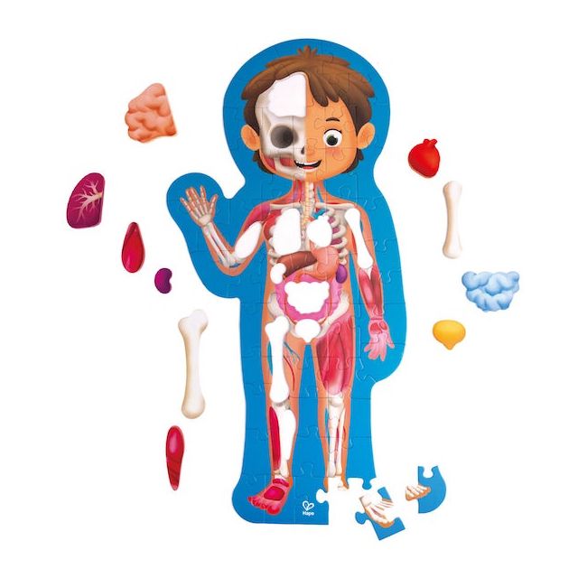Human Body Puzzle
