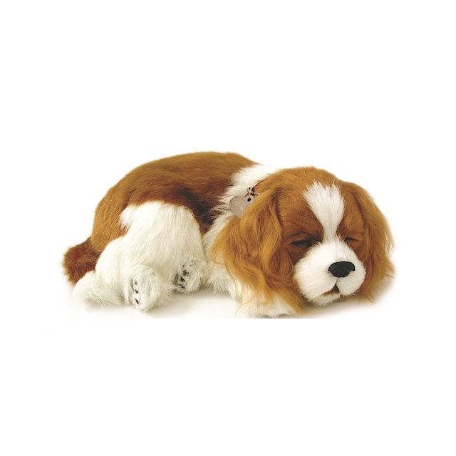 Perfect Petzz Dog 1