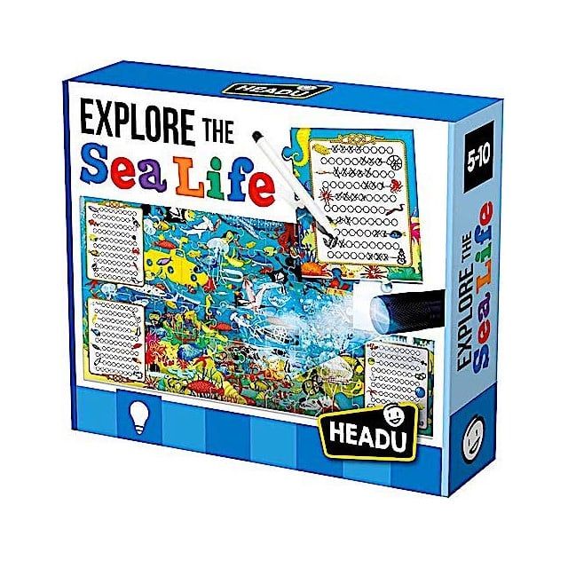 Explore the Sea Life
