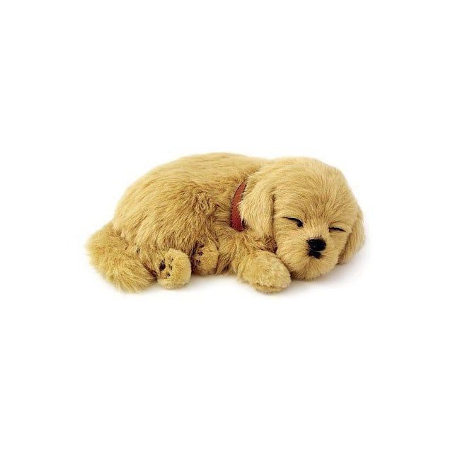 Perfect Petzz Puppies