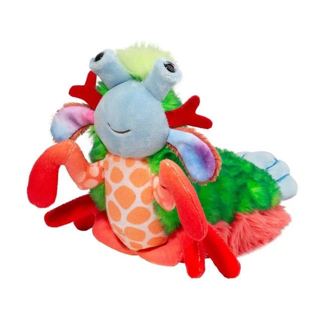 Punchie MANTIS SHRIMP