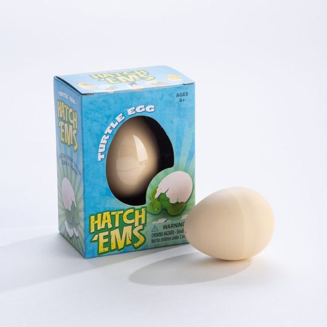 HATCH&#39;EMS TORTOISE EGGS