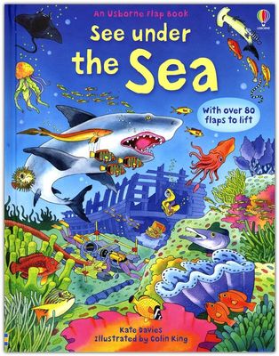 See Under the Sea Usborne