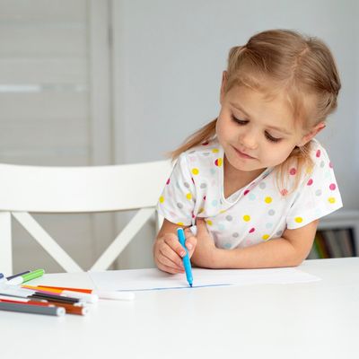 Sticker/Activity Books