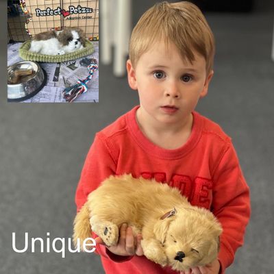 Unique Toys