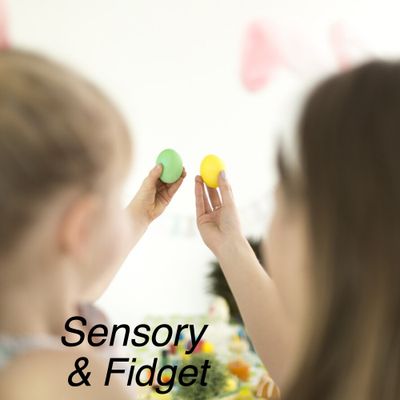 Sensory and Fidgets Toys