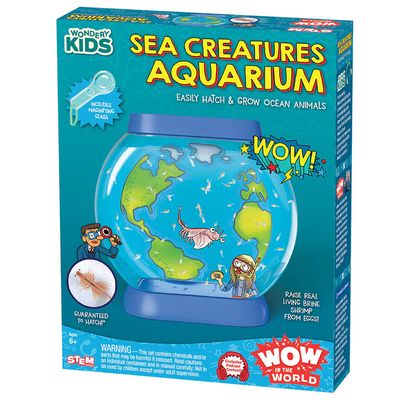 Wow in the World: Sea Creatures  Aquarium