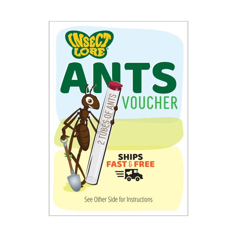 ANT HILL WITH PREPAID  VOUCHER