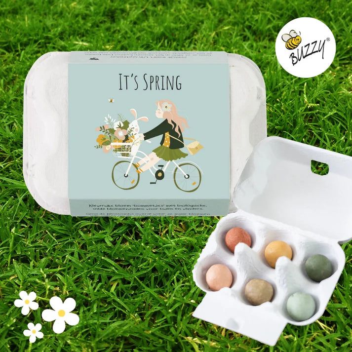 Blossombs Egg Box - It&#39;s Spring