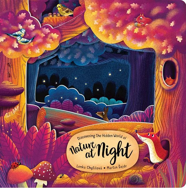 Discovering-Nesting Books, Name: Nature at Night