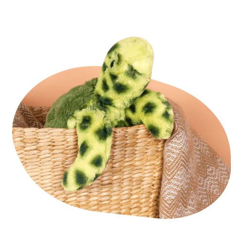 Fahlo Plush, Name: The Journey/turtle