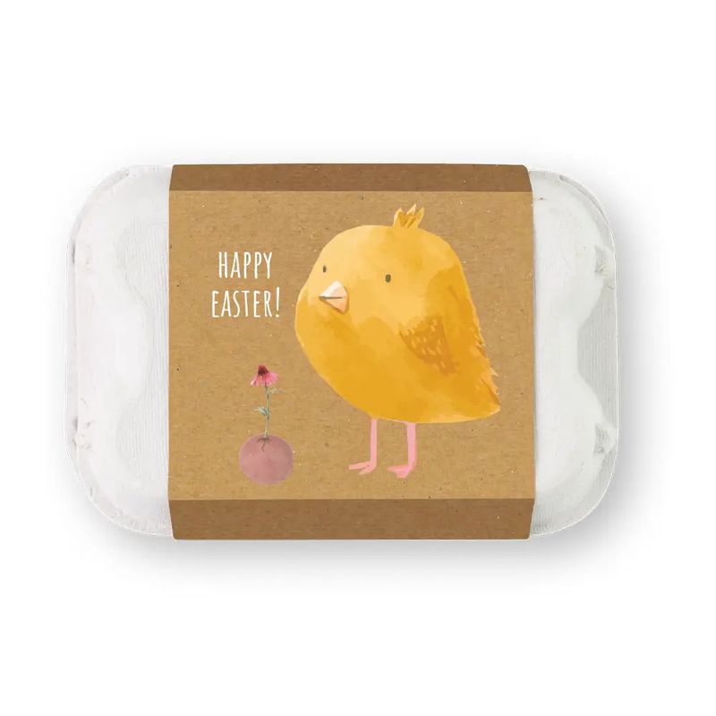 Egg Carton