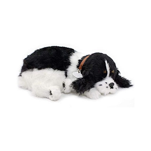Perfect Petzz Puppies, Name: Cocker Spaniel