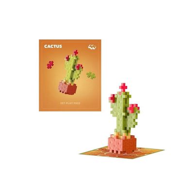 Plant Packet-Calm Cactus