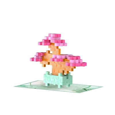 Plant Packet-Blissful Bonsai