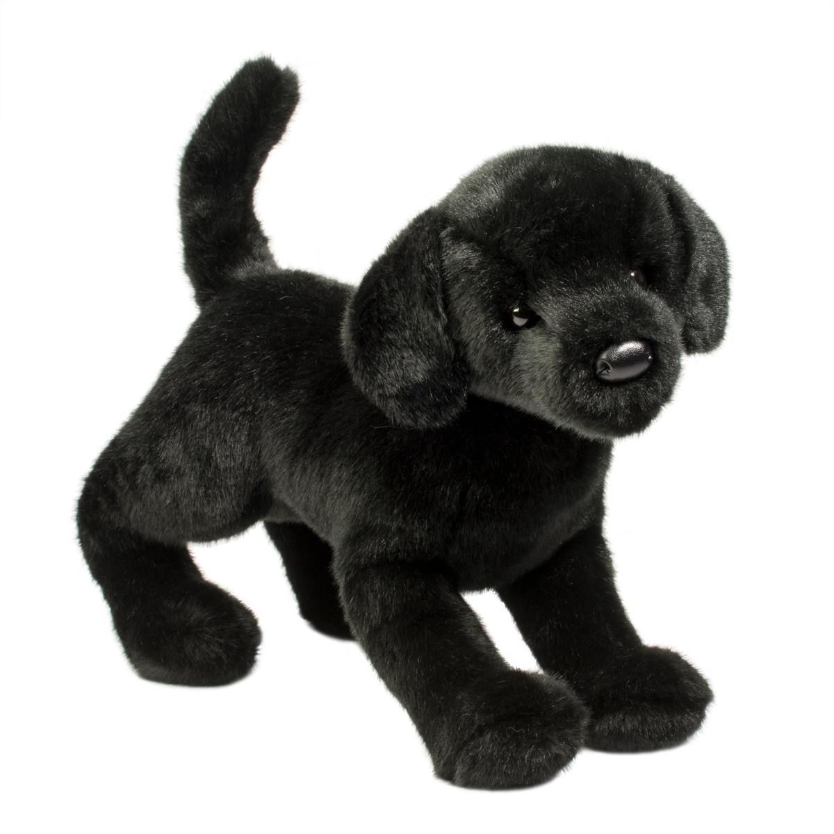 Chester BLACK LAB