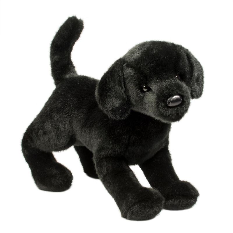 Chester BLACK LAB