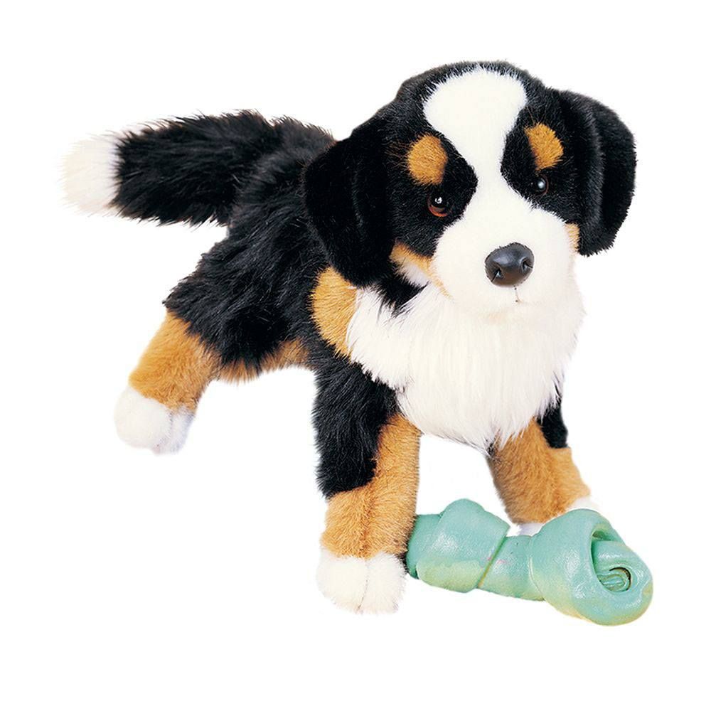 Trevor BERNESE MOUNTAIN DOG