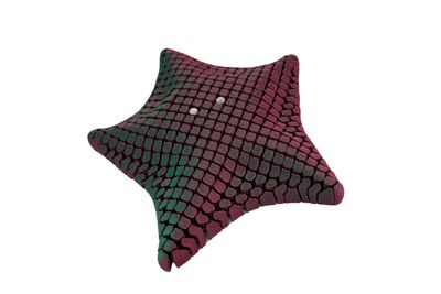 Starfish