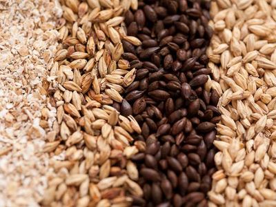 Grain