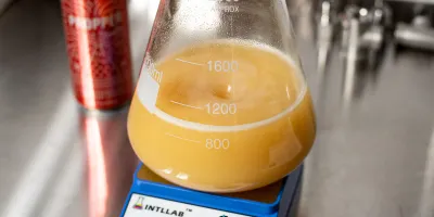 Beer Yeast