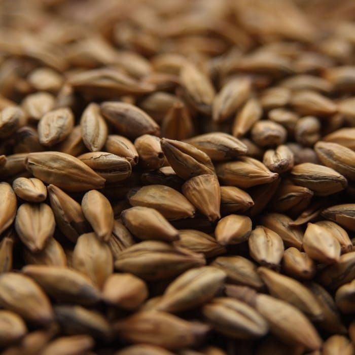 Amber Malt (1 lb.)