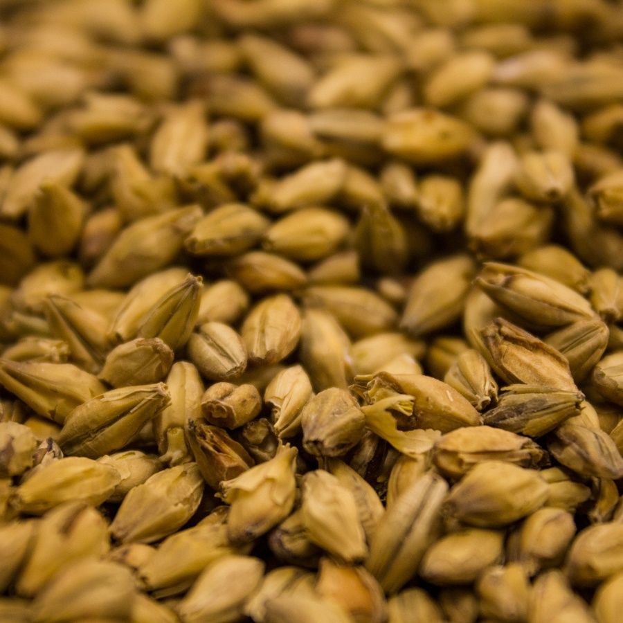 Barke Vienna (1 lb.)