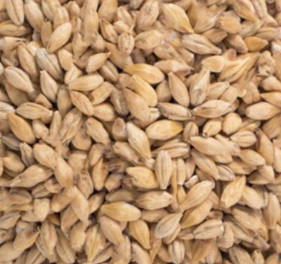 Acidulated Malt (1 lb.)