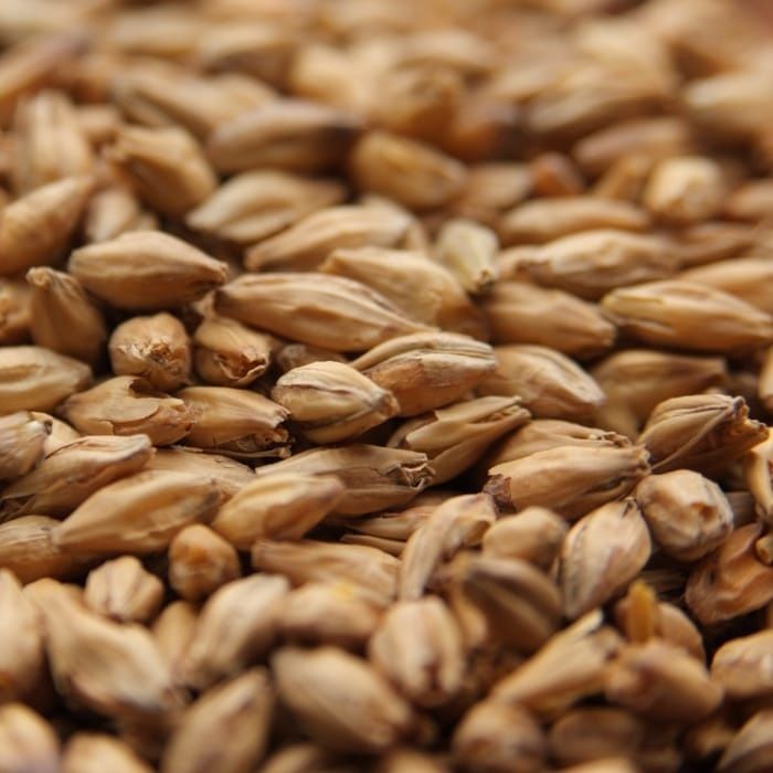Beach Smoked Malt (1 lb.)