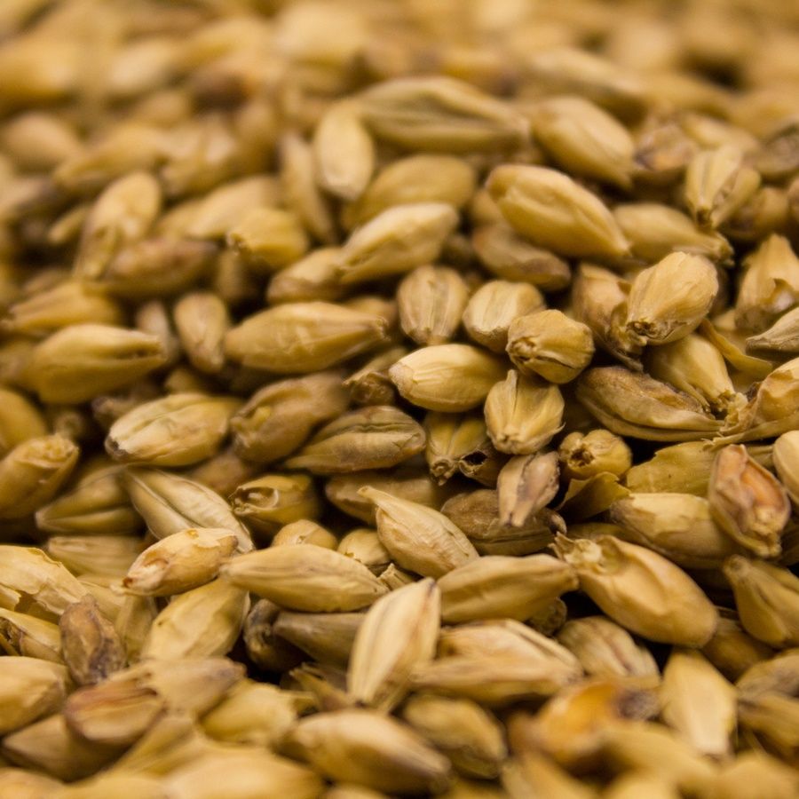 Barke Munich (1 lb.)