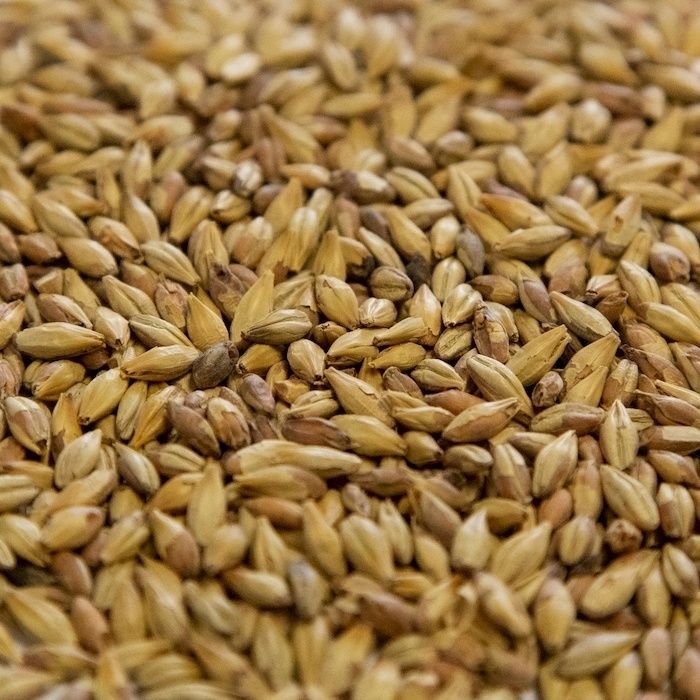 Biscuit Malt (1 lb.)