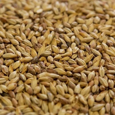 Biscuit Malt (1 lb.)