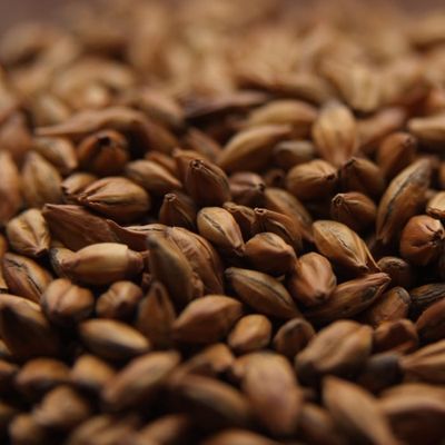 Brown Malt (1 lb.)