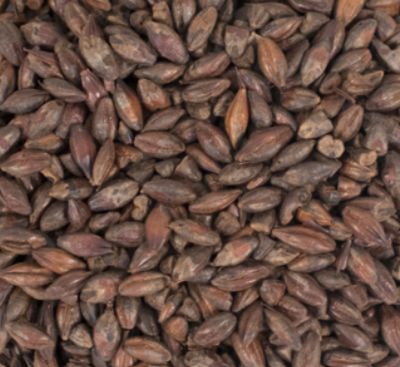 Briess Roasted Barley (1 lb.)