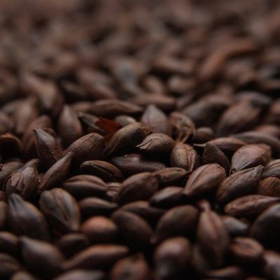 Carafa Type I (1 lb.)