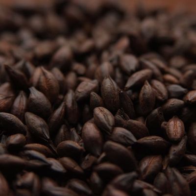 Carafa Special Type II (1 lb.)
