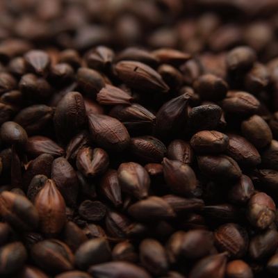 Carafa Type II (1 lb.)
