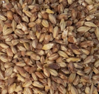 Caramel/Crystal 40L (1 lb.)