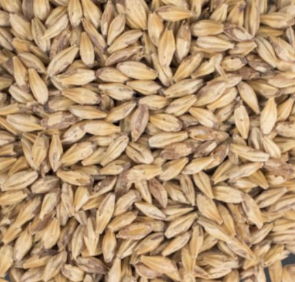 Carastan (1 lb.)