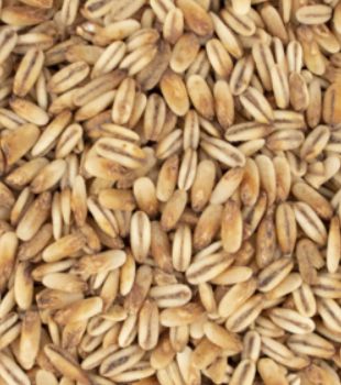 Golden Naked Oats (1 lb.)