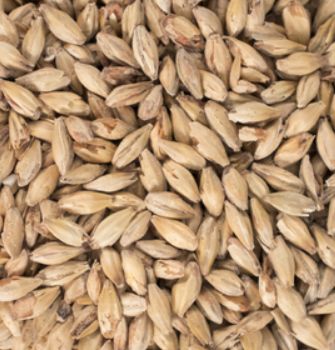 Honey Malt (1 lb.)