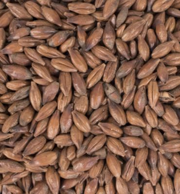 Pale Chocolate (1 lb.)