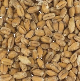 Pale Wheat (1 lb.)
