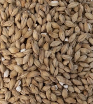 Peated Malt (1 lb.)