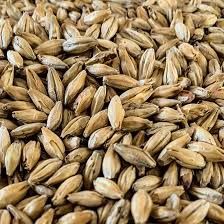 Isaria 1924 (1 lb.)