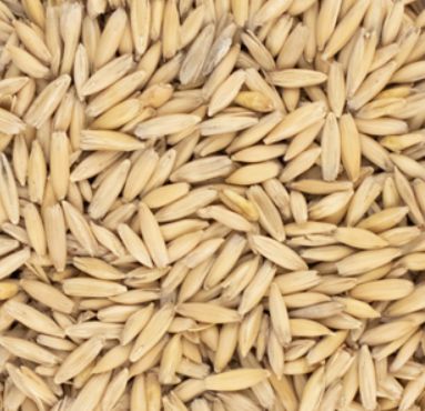 Malted Oats(1 lb.)
