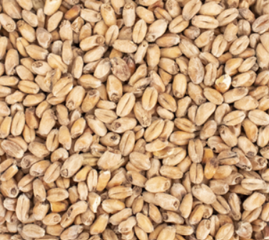 Whole Grain