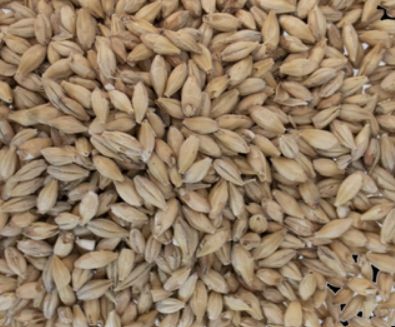 Vienna Malt, Size: 1 lb