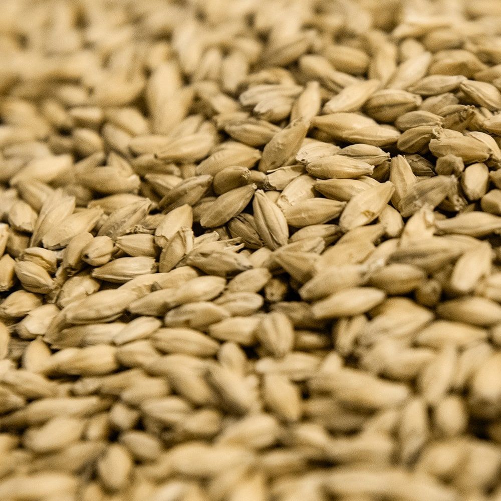 Gambrinus IPA Malt, Size: 1 lb